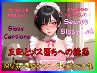 Sissy Captions Mな男の娘のシシーキャプション集 支配とメス堕ちへの誘惑 何でもいう事ききますから… あなた好みのメスに堕として…
