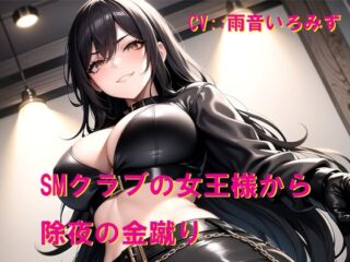 SMクラブの女王様から除夜の金蹴り